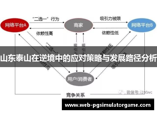 山东泰山在逆境中的应对策略与发展路径分析