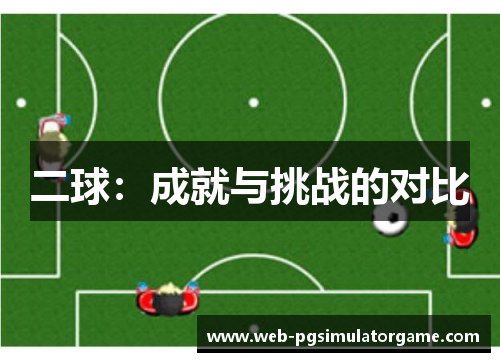 二球：成就与挑战的对比