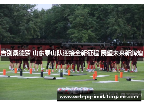 告别桑德罗 山东泰山队迎接全新征程 展望未来新辉煌