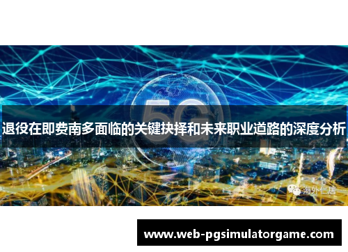 退役在即费南多面临的关键抉择和未来职业道路的深度分析