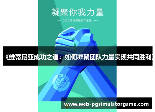 《维蒂尼亚成功之道:如何凝聚团队力量实现共同胜利》 《维蒂尼亚成功之道:如何凝聚团队力量实现共同胜利》