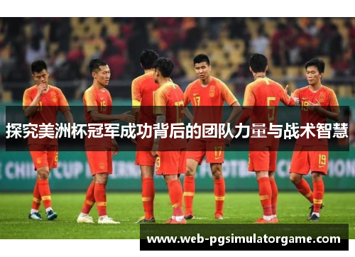 探究美洲杯冠军成功背后的团队力量与战术智慧