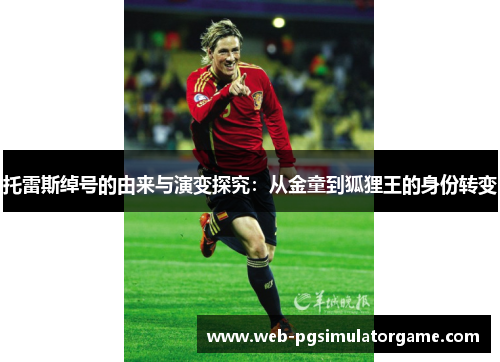 托雷斯绰号的由来与演变探究：从金童到狐狸王的身份转变