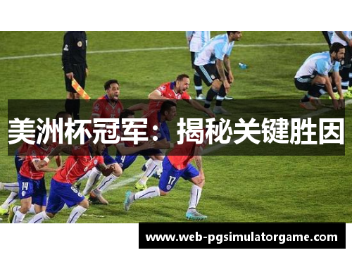 美洲杯冠军:揭秘关键胜因 美洲杯冠军:揭秘关键胜因