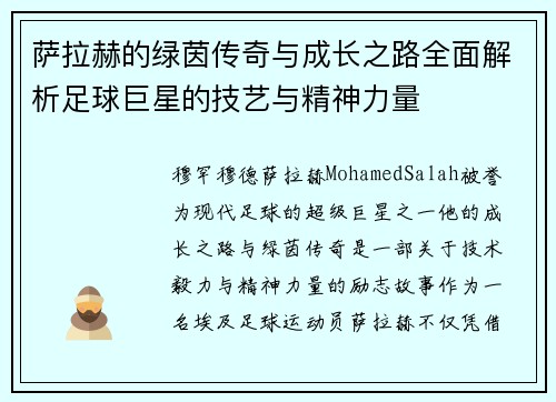 萨拉赫的绿茵传奇与成长之路全面解析足球巨星的技艺与精神力量