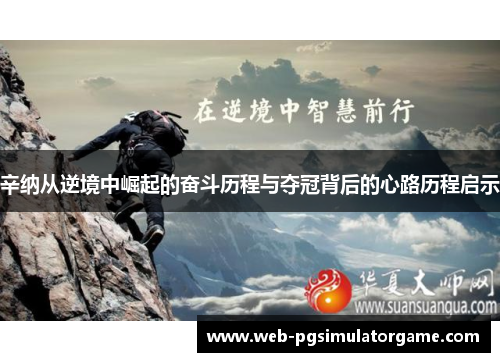 辛纳从逆境中崛起的奋斗历程与夺冠背后的心路历程启示